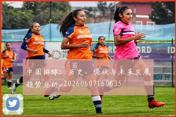 中国排球：历史、现状与未来发展趋势分析_20260607160635