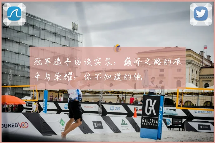 冠军选手访谈实录,巅峰之路的艰辛与荣耀,你不知道的他